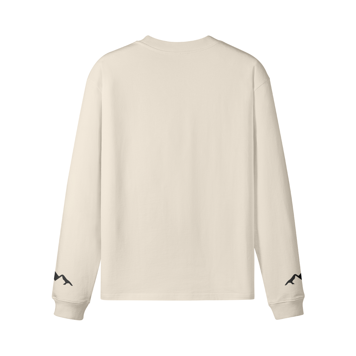0-Y39-Back Side